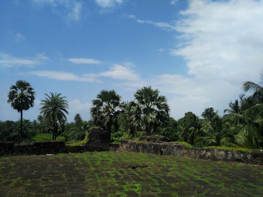 Photo Sites