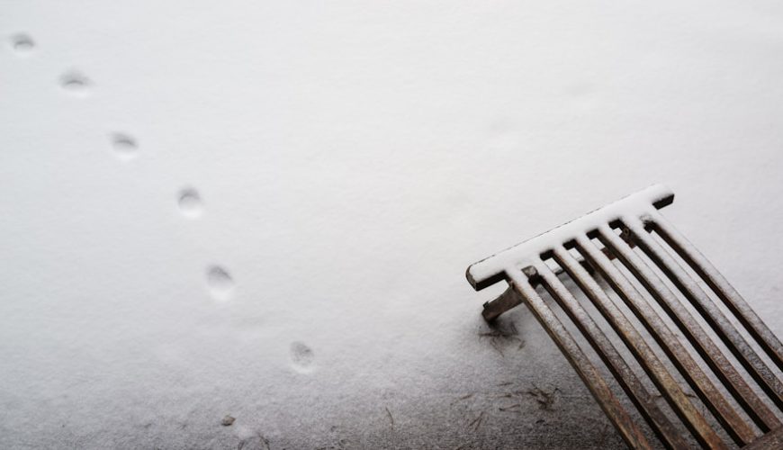 Photo Cancellations