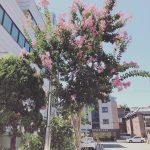 Photo Instagrammable