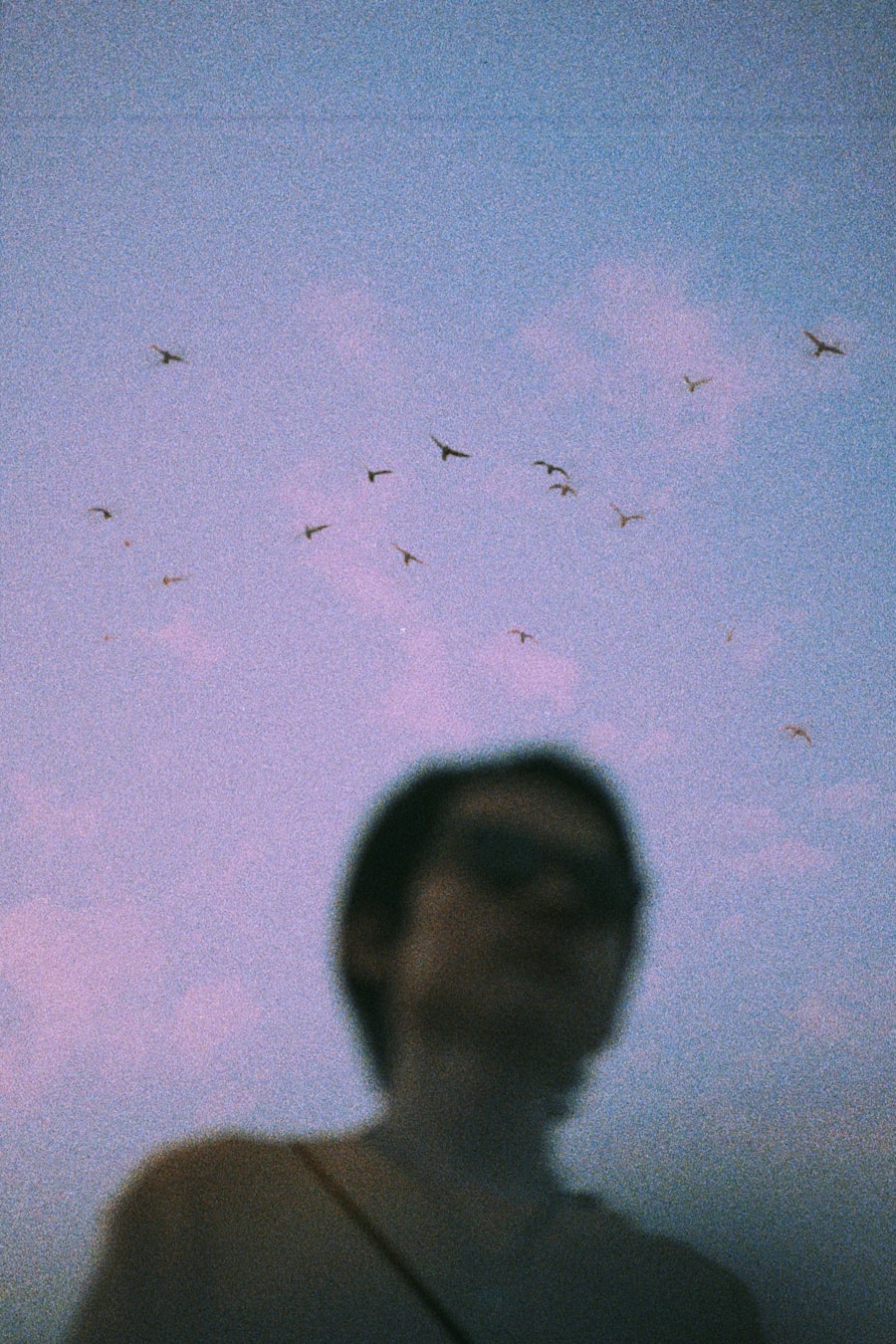 Photo Flights