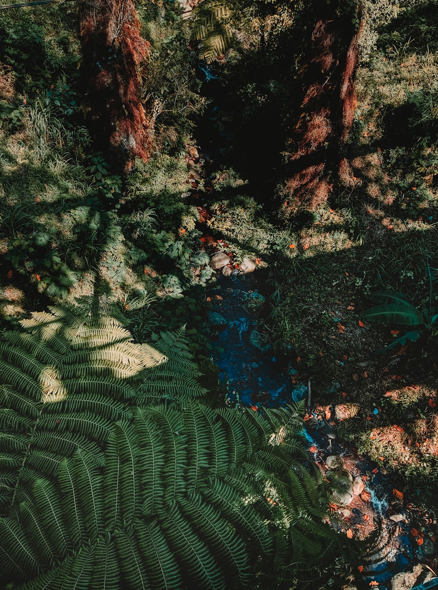 Photo Exploration
