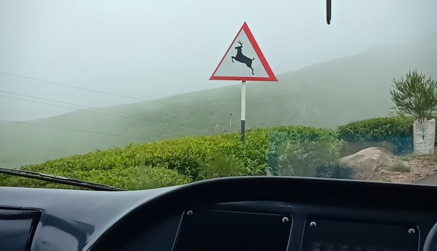 Photo Safe Driving