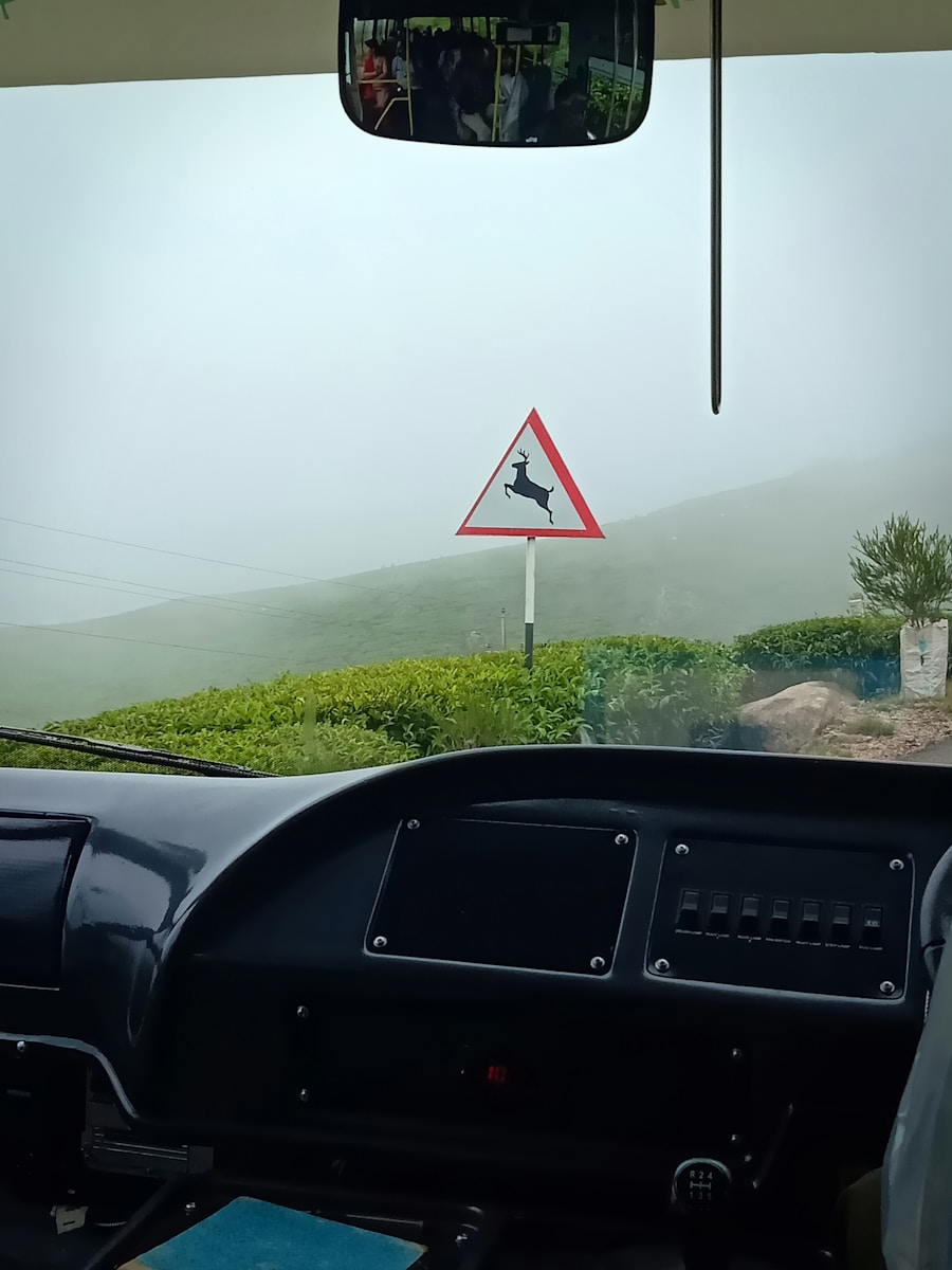 Photo Safe Driving