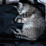Photo Packing