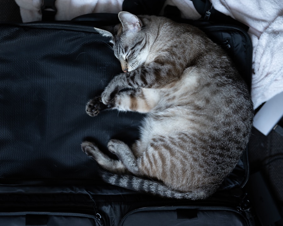 Photo Packing