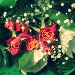 Photo Special Occasions