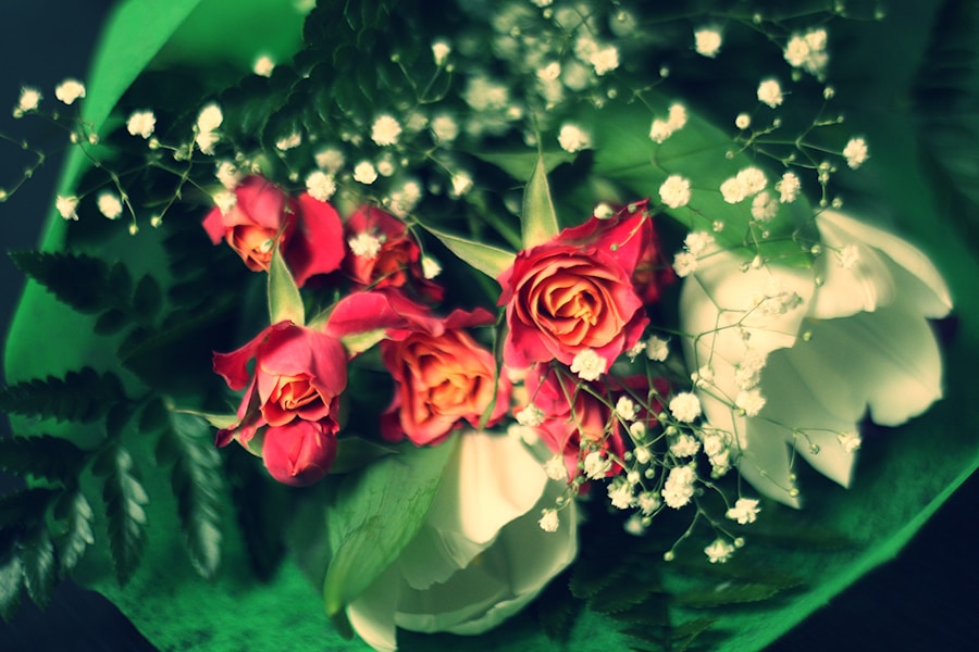 Photo Special Occasions