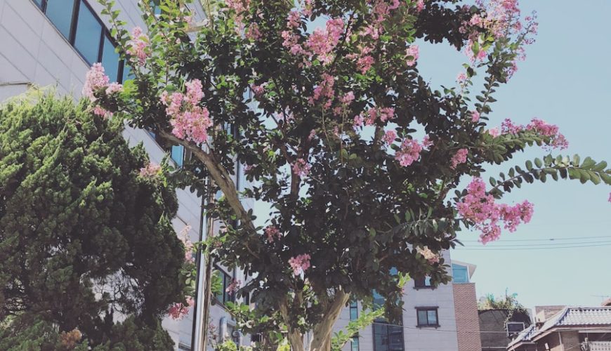 Photo Instagrammable